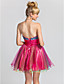  A-line|Princess Strapless Short/Mini  Satin|Tulle Evening Dress