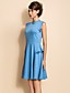  TS Sleeveless Slim Waist Swing Jersey Dress