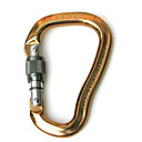 B.D. Airlock2 Carabiner Screw-Lock