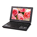 hasee 13.3 "TFT / Intel Celeron-M a 1,8 GHz cpu/1gb DDR2 ram/60g hdd notebook portatile (smq2223)