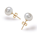 14k Gold White 7.5-8mm AAA Freshwater Pearl Earring