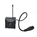 China Branded 2.4Ghz 1/3" Sony Color CCD Wireless MINI Pinhole Camera
