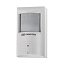 1/3 Inch Sony Color CCD Smoke Detector Wired Camera (P.I.R Camera) with Audio