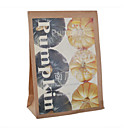 Pumpkin Desktop Growing Kit (Complete with Seeds)
