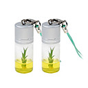 Real+Growable Lucky Bamboo Plant In-a-Bottle Keychain (2-Pack)