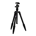 Benro A069 Travel Angel Aluminum Tripod with B00 Ballhead PU40 Universal Head(CCA231)
