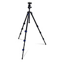 Weifeng WF-531t treppiedi da 60 pollici per la fotocamera reflex compatta, borsa per il trasporto inclusa (cca269)