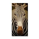 Abstract Handmade Animal Painting Zebra (0250 -CH-26)