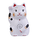 Digitally Recordable Motion Activated Visitor Welcoming Door Chime Cat