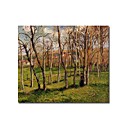 Stretched Handmade Meadow at Bazincourt Painting by Camille Pissarro(0192-YCF103925)