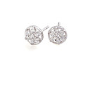 Fashion CZ Cubic Zirconia And Brass With Platinum Plated Earrings(0801-HYE0016)