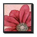 Floral Framed Canvas Print