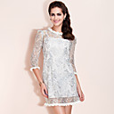 TS Sliver Lace Cute Dress