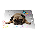 Hallo Welpen Gaming Optical Mouse Pad (9 x 7 Zoll)