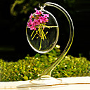 Hanging vase en verre transparent