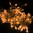 10M Gold Pentagram LED String Light with 80 LEDs