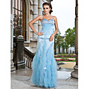 Sheath/Column V-neck Floor-length Tulle Evening Dress