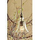 60W E27 Pendent Light with Glass Shade