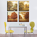 Stretched Canvas Print Landscape Set of 4 1301-0171