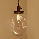 60W Nature inspired Contemporary Pendant with Transparent Globe Glass Shade