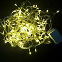 100-lumière blanche LED string décoration de mariage (10m, 220v)
