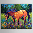 Pintado a mano de pintura de aceite Animal Caballo 1304-AN0072