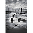 Impreso Arte Paisaje Port Willunga BW por SD inteligente