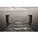 Impreso Landscape Art No Diving por SD inteligente