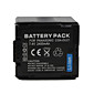  CGA-DU21 Compatible 7.4V 2400mAh Battery Pack for Panasonic PV GS120 and More